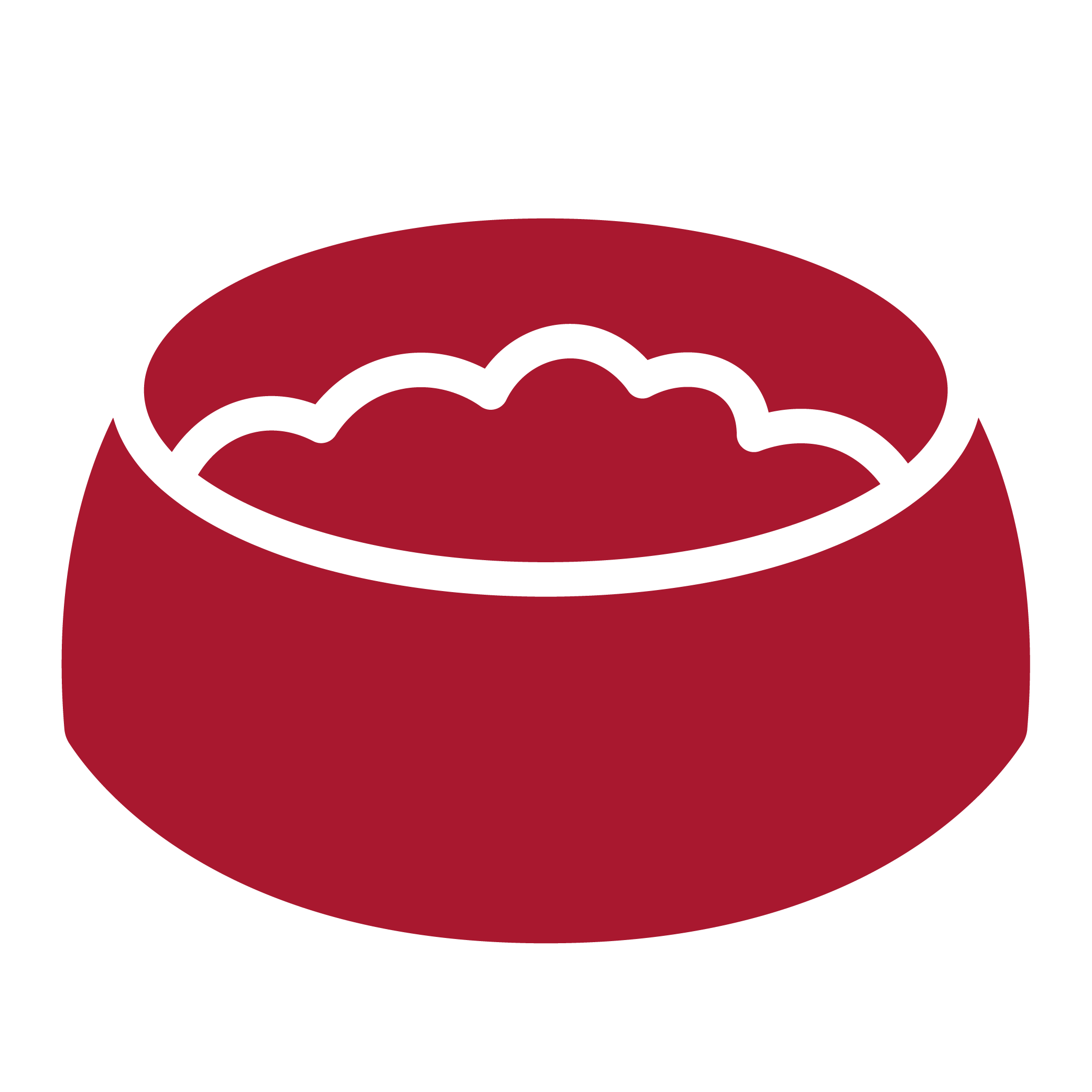 einfache-anwendung-icon