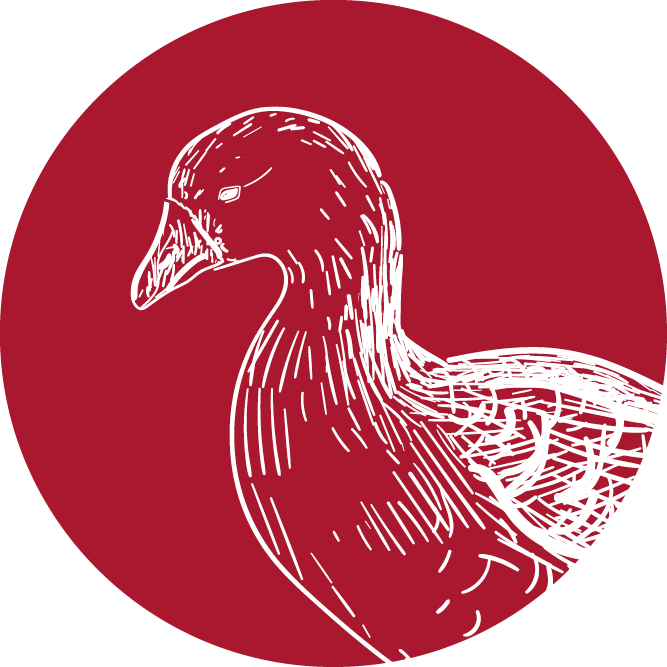 ente-icon