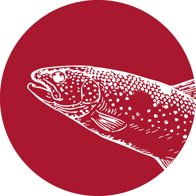 fisch-icon