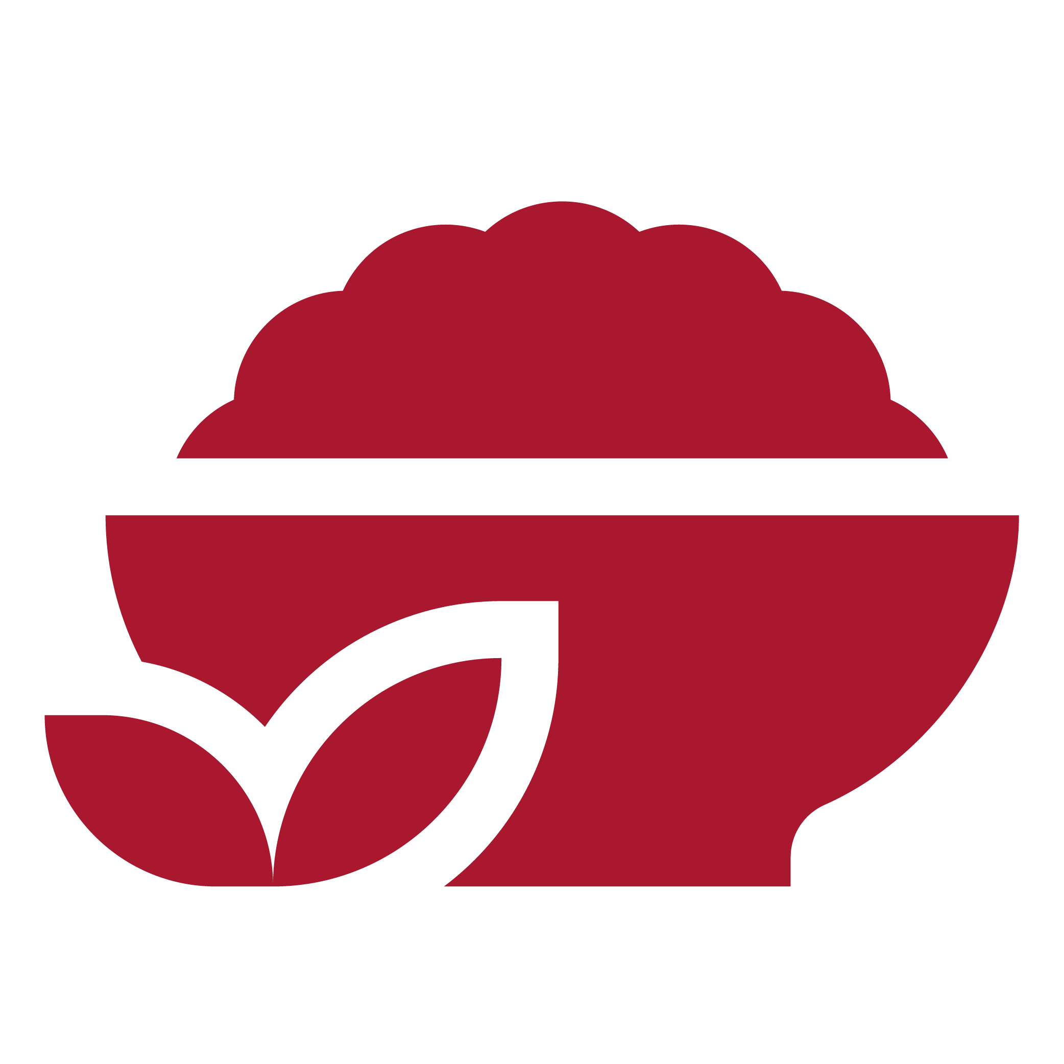 komplettmenues-icon