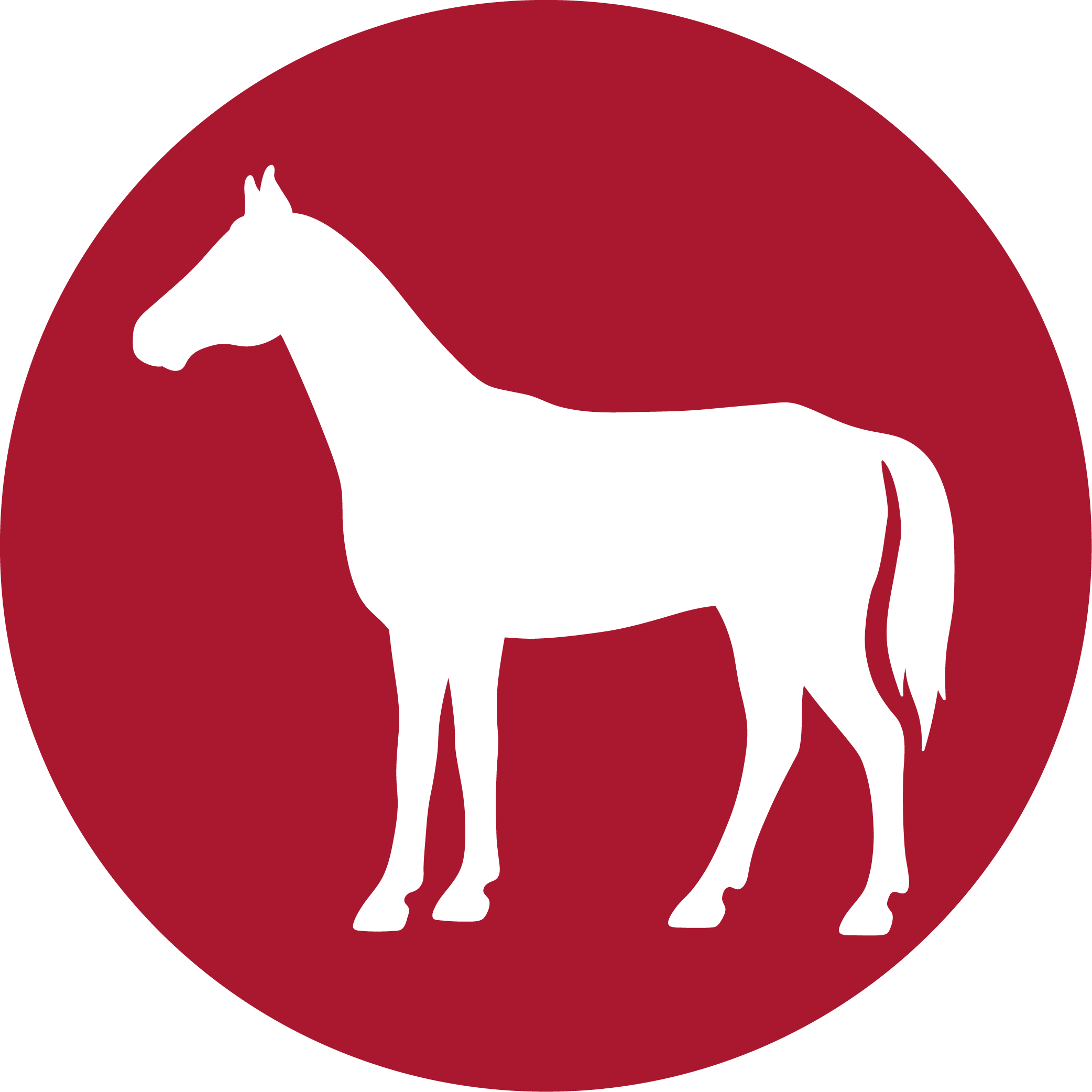 pferd-feine-menues-icon