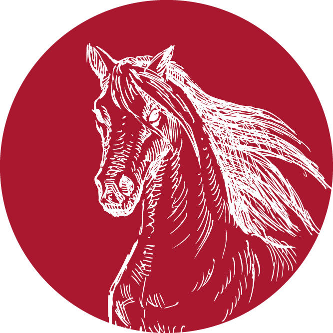pferd-icon