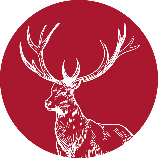 wild-icon