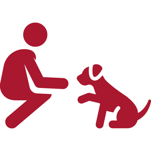 hundetraining-icon